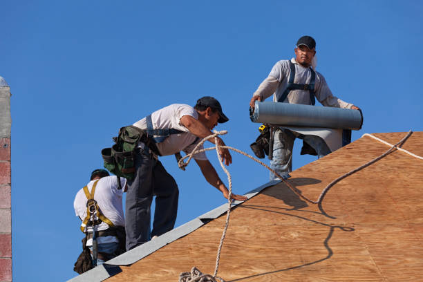 Best Commercial Roofing Services  in Presidio, TX
