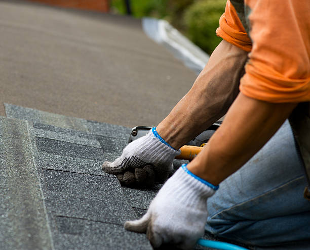 Best Residential Roofing Contractor  in Presidio, TX