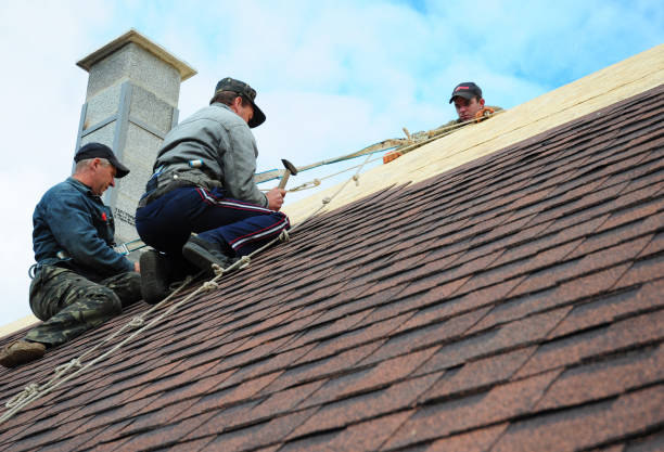 Quick and Trustworthy Emergency Roof Repair Services in Presidio, TX